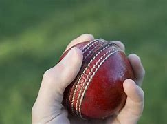 Image result for Cricket Bowled