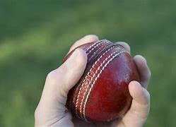 Image result for Cricket Coaching Equipment for Kids