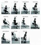 Image result for Seated Theraband Exercises