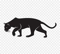 Image result for Black Panther Desktop Background