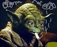 Image result for Stoned Yoda