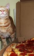 Image result for Crying Cat Pizza