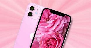 Image result for Big Pink iPhone 12