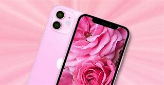 Image result for iPhone 11 Pink Color Poppet