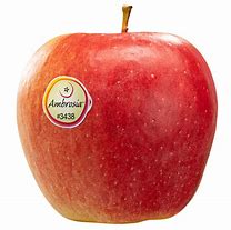 Image result for Ambrosia Apples