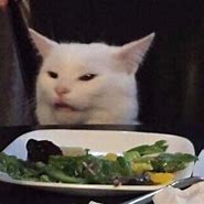 Image result for Angry Sad Cat