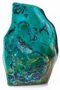 Image result for Petrified Wood Opal