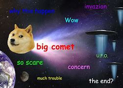 Image result for Rare Doge Memes Clean