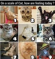 Image result for What AME Are You Today Meme