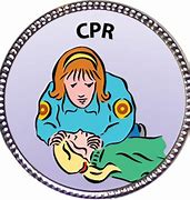 Image result for CPR Save Award Pin