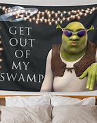 Image result for Shrek Quote Get Out of My Swamp