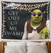 Image result for Shrek Get Out of My Swamp Meme