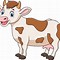 Image result for A Cow Cartoon