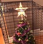 Image result for Cats Destroying Christmas Trees