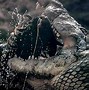 Image result for Gustave Crocodile Real Pictures