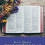 Image result for One Year Bible Plan Printable