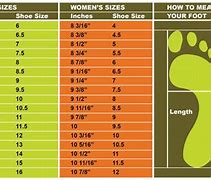 Image result for 24 Inches in Feet
