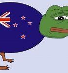 Image result for Kiwi Cat Meme