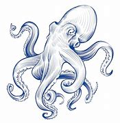 Image result for Vintage Octopus Drawing
