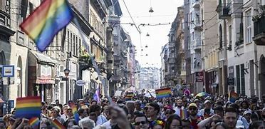 Image result for LGBT in Hungary