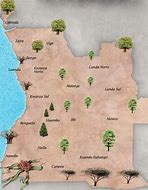 Image result for Angola Vegetation