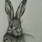 Image result for Animal Love Drawings Easy
