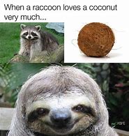 Image result for Coconut Straw Meme