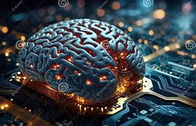 Image result for Brain Circuitry