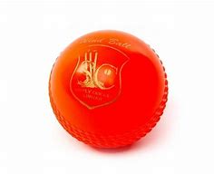 Image result for Wind Ball Cricket
