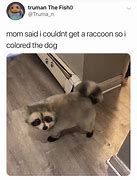 Image result for Raccoon Weekend Plans Meme