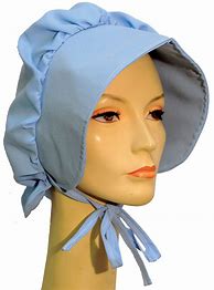 Image result for Pioneer Woman Bonnet