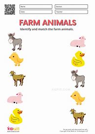 Image result for Common Animals Activity