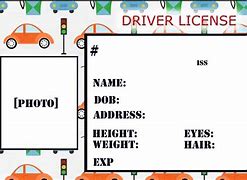 Image result for Pretend Drivers License