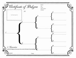 Image result for Blank Horse Pedigree Chart