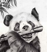 Image result for How to Draw a Realistic Panda