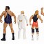 Image result for WWE Hall of Fame Actionfigures
