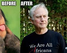 Image result for Dawkins Meme