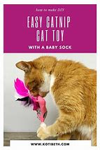 Image result for Homemade Catnip Toys for Cats