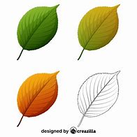 Image result for Apple Leaf SVG