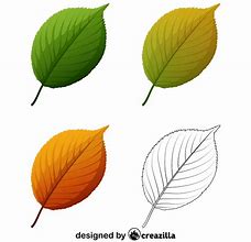 Image result for Apple Tree Leaves Clip Art