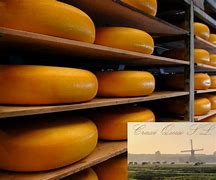 Image result for Dutch Tradition Gouda Cheese
