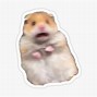 Image result for Hamster Meme Sticker