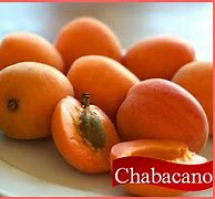 Image result for chabacano