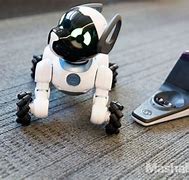 Image result for Robot Dog On Wheels Big