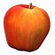 Image result for Rome Apple