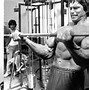 Image result for Arnold Schwarzenegger Arm Workout
