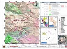 Image result for acayanca