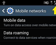 Image result for How to Turn On Data Roaming On iPhone