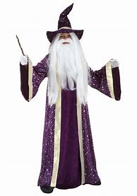Image result for Setup Wizard Costume