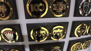 Image result for WWE Spinner Belt Side Plate